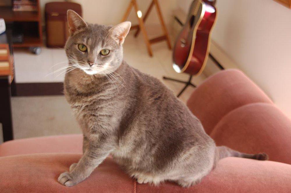 Luna